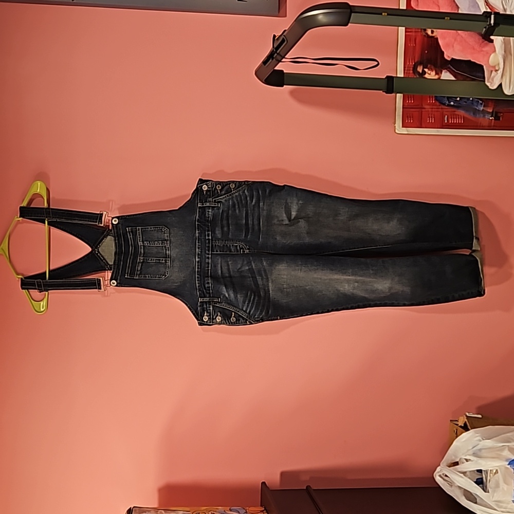 Torrid Crop Overall